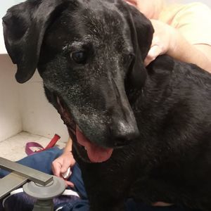 Meet your Posher, Terri